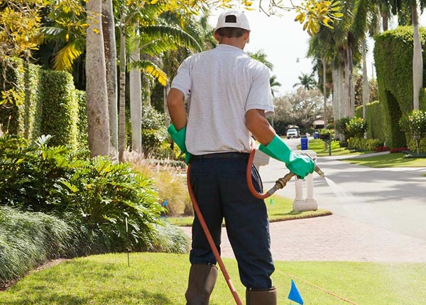 About Tumbling Shoals AR Pest Control Pros